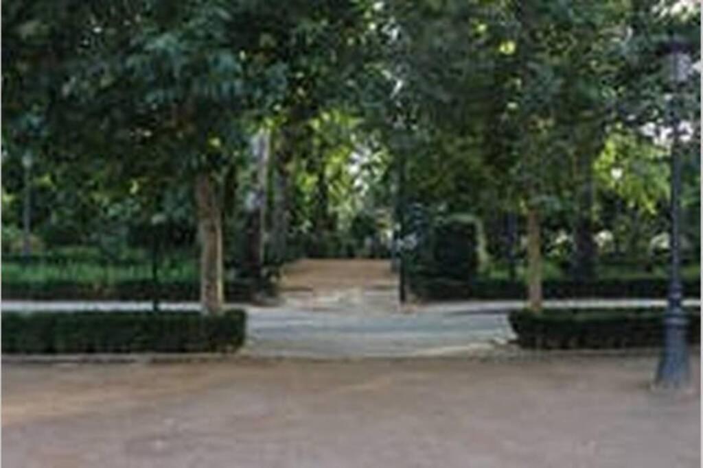 Fabuloso Piso Junto A Paseo De La Bomba Granada Dış mekan fotoğraf